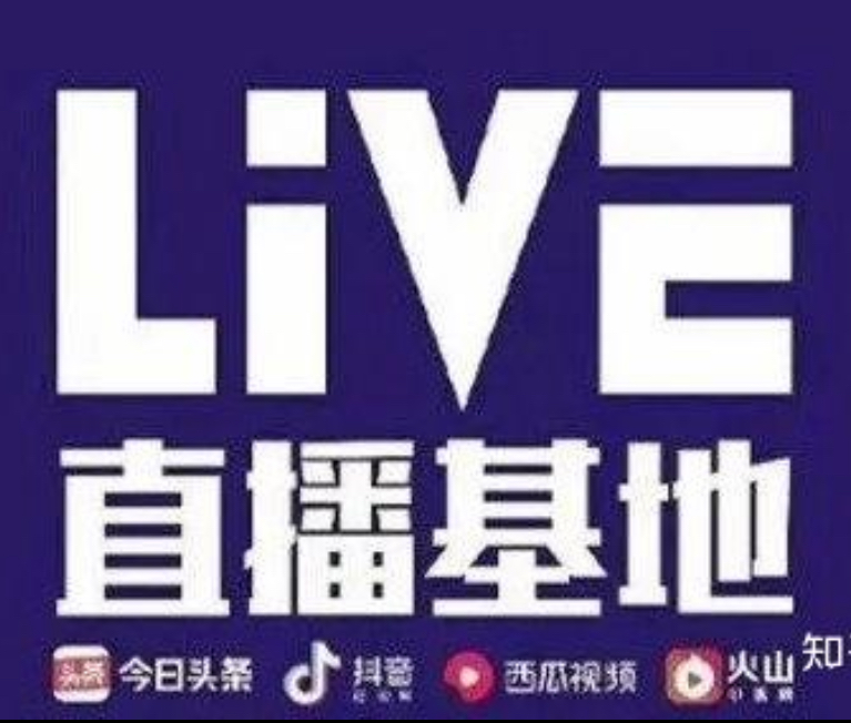 Z（糖白玉专拍）新疆和田玉且末料